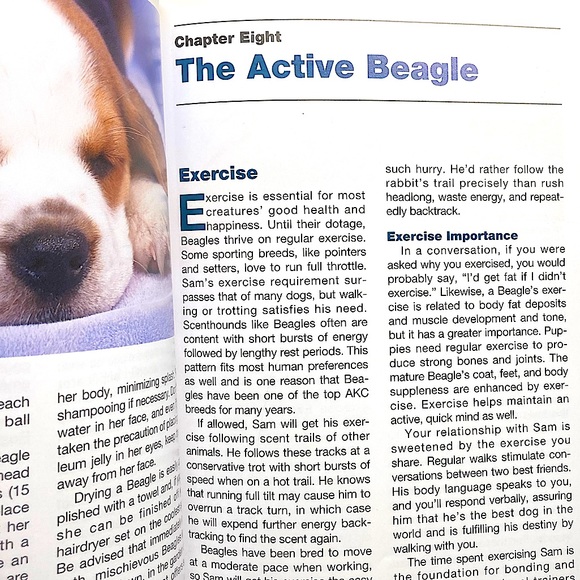 Beagle Books Dogs Educational Academia All Ages Set of Two - Picture 10 of 16